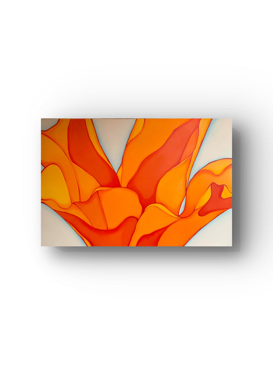 California Poppy